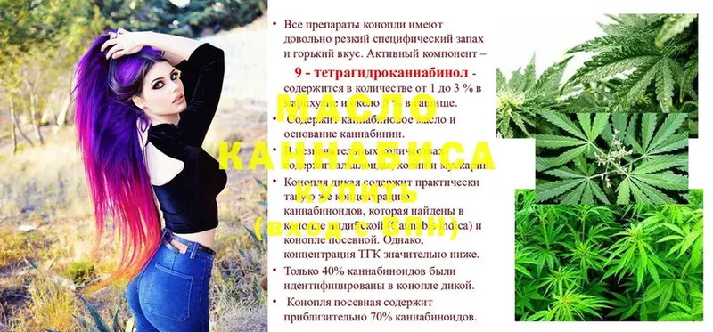 Как найти наркотики Нефтегорск Гашиш  Cocaine  Лсд 25  Меф  A PVP 